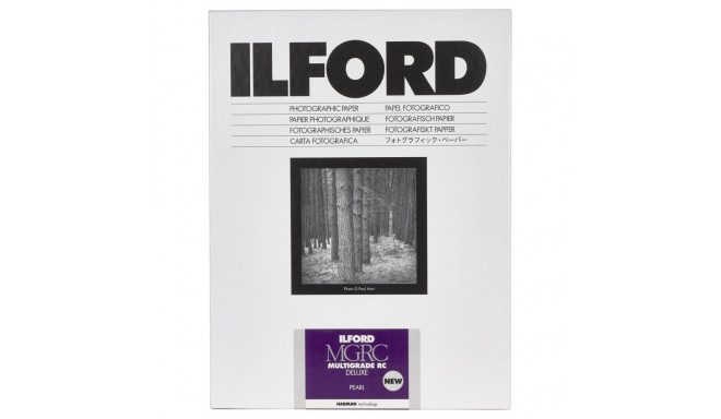 1x 10 Ilford MG RC DL 44M 24x30 fotopaber