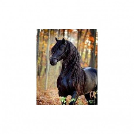 Diamond mosaic - Black Horse