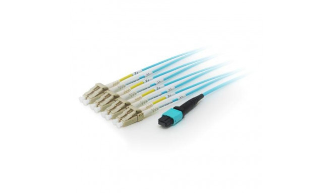 Equip MTP/MTP Trunk Fiber Optic Patch Cable, OM4, 5m