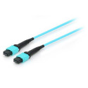 Equip MTP/MTP Trunk Fiber Optic Patch Cable, OM4, 5m