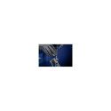 PFERD 11212156 file/rasp