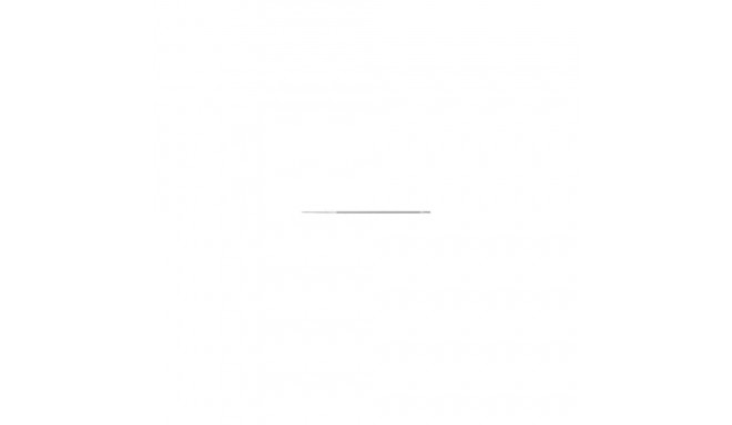 PFERD 11017203 file/rasp