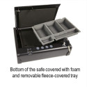 Master Lock Small Safe MLD08EB biometric lock