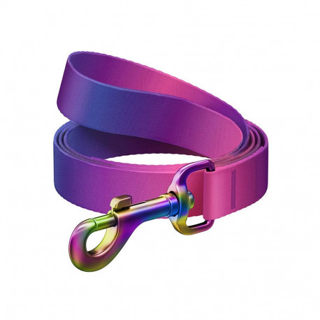 WAUDOG gradient nylon dog leash, 20mm wide, 122cm long, purple