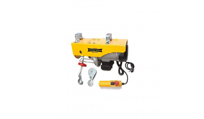 Elektriline tööstuslik vints tõstmiseks  DWI 400/800kg  230V trossi pikkus 12,5m. DRAGON WINCH