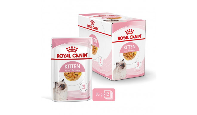 Konserv kassipoegade toit ROYAL CANIN Kitten Instinctive želees, 85 g