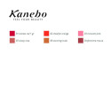 Lip Liner Colours Kanebo - 02 - cheerful orange