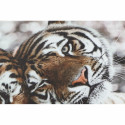 Painting DKD Home Decor Tiger Colonial (80 x 1,8 x 40 cm) (2 Units)