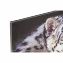 Painting DKD Home Decor Tiger Colonial (80 x 1,8 x 40 cm) (2 Units)