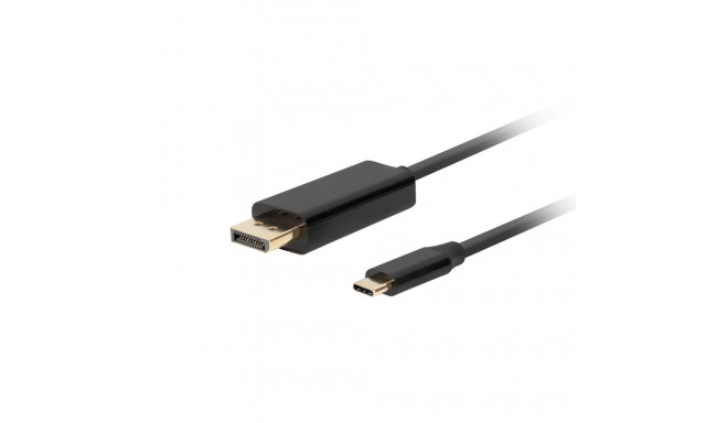 USB C-DisplayPort Adapter Lanberg CA-CMDP-10CU-0010-BK Must 1 m