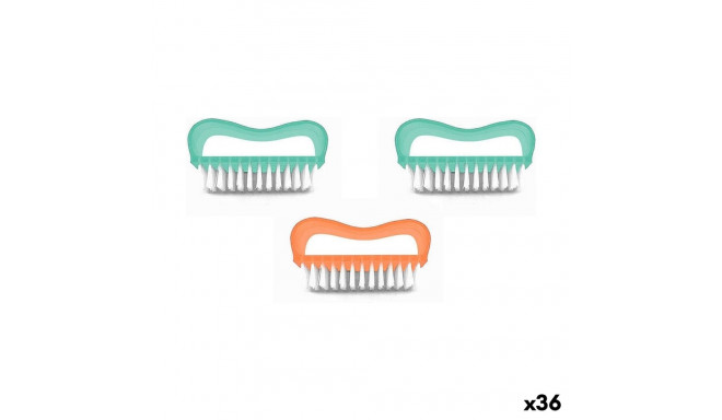 Brush Plastic 8 cm (3 Pieces) (36 Units)