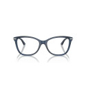 Naiste Päikeseprillid Jimmy Choo JC 3007HB