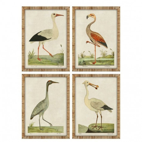 Maal Home ESPRIT Beež Linnud Traditsiooniline 50 x 2,5 x 40 cm (4 Ühikut)