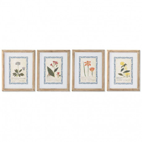Maal Home ESPRIT Shabby Chic Botaanilised taimed 40 x 2,5 x 50 cm (4 Ühikut)