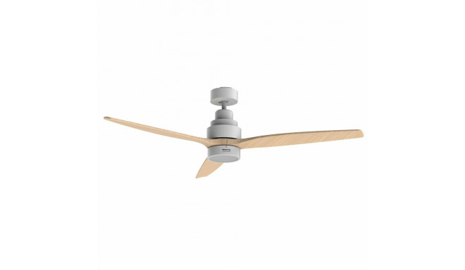 Ceiling Fan Taurus