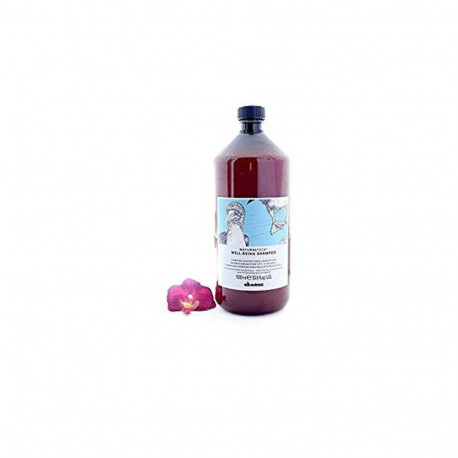 Niisutav šampoon Davines Well-Being 1 L