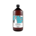 Niisutav šampoon Davines Well-Being 1 L