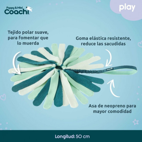 Koera mänguasi Coachi PUPPY & MINI TUGGI SPIDER Roheline