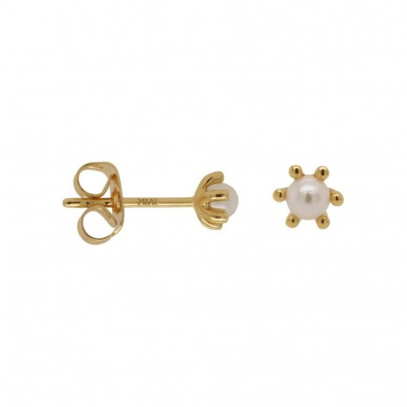 Ladies' Earrings 24KAE 42420Y Golden