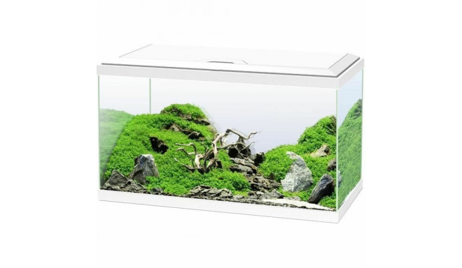 Aquarium Ciano
