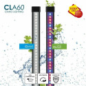 Aquarium Ciano