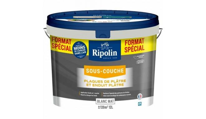 Paint Ripolin