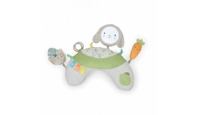 Mängimismatt Ingenuity Kangas Foam