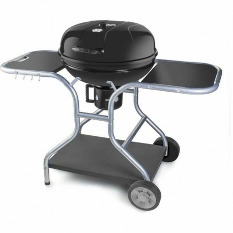 Barbecue Portable Fieldmann FZG 1014 Metal Steel