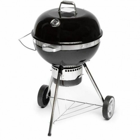 Barbecue Portable Fieldmann FZG 1017 Metal Steel