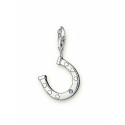 Naiste Amuletid Thomas Sabo DC0010-153-14 Hall 30 mm