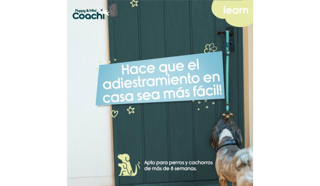 Dog Harness Coachi