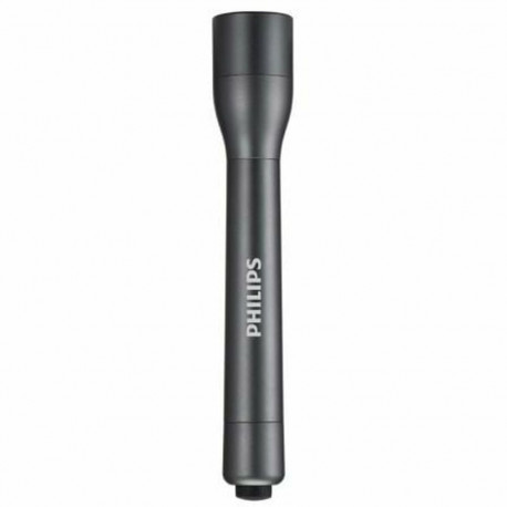 Torch Philips SFL4002T/10 110 LM