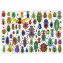 Puzzle Educa Beetles
