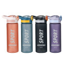 Water bottle Bewinner 600 ml (12 Units)