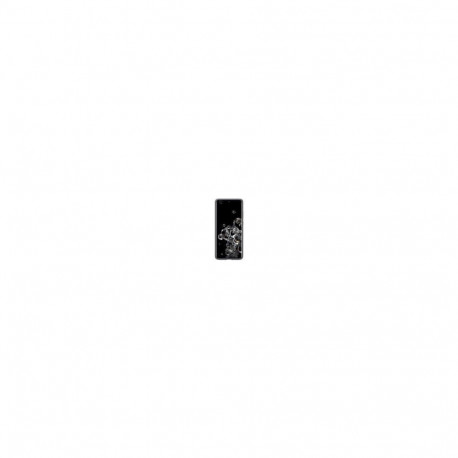 Samsung kaitseümbris Galaxy S20 Ultra Protective Standing cover Case Silver