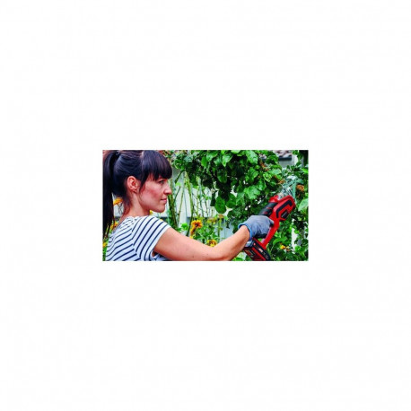 Einhell GE-GS 18 Li-Solo pruning shears Bypass Black, Red