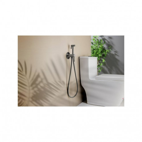 Blue Water concealed bidet mixer Boston graphite color BOS-BBP.040