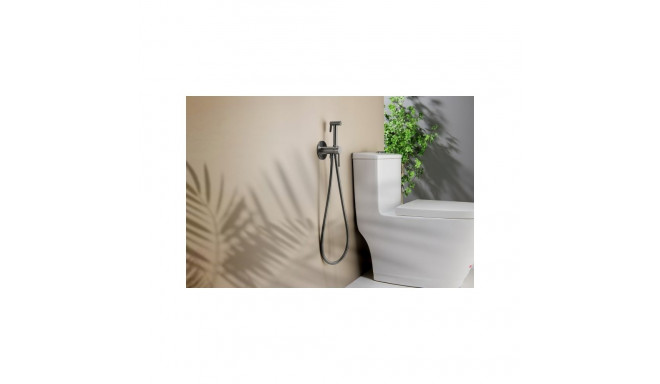 Blue Water concealed bidet mixer Boston graphite color BOS-BBP.040