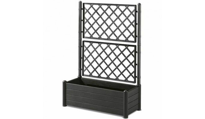 Lillepott Stefanplast Ristkülikukujuline 100 x 43 x 142 cm Grafiithall
