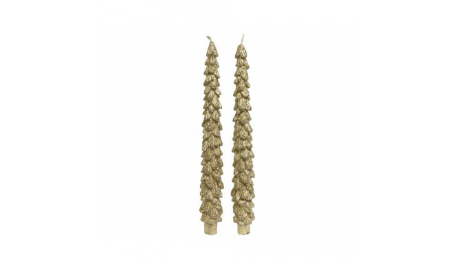 Candles Lifetime Pinewood
