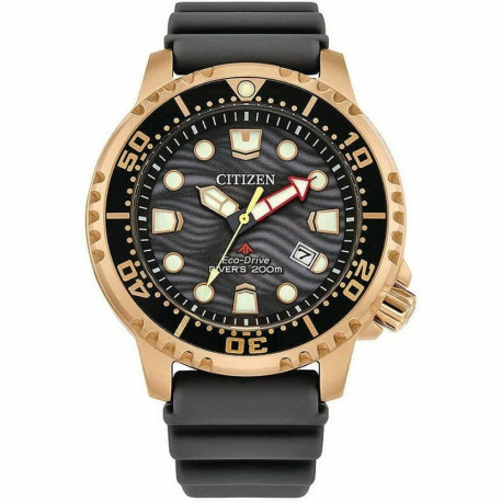 Meeste Kell Citizen BN0163-00H (Ø 44 mm)