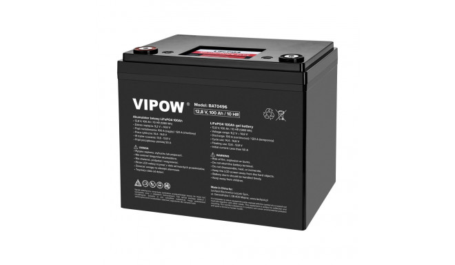 Akumulator LiFePO4 100Ah z BMS