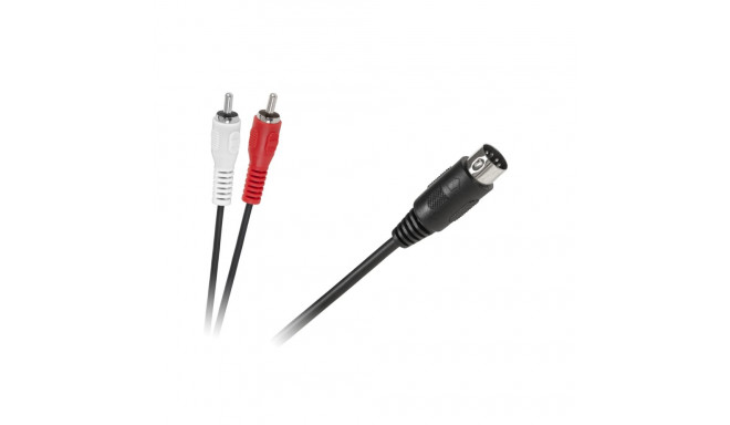 Kabel DIN-2 x RCA 1,2 m kaabel