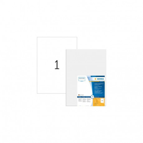 HERMA 9542 self-adhesive label Rectangle White 10 pc(s)