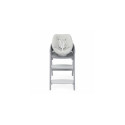 Chicco Crescendo Recliner Bouncer Grey