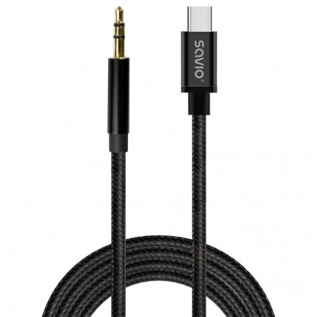 USB-C to mini-Jack cable