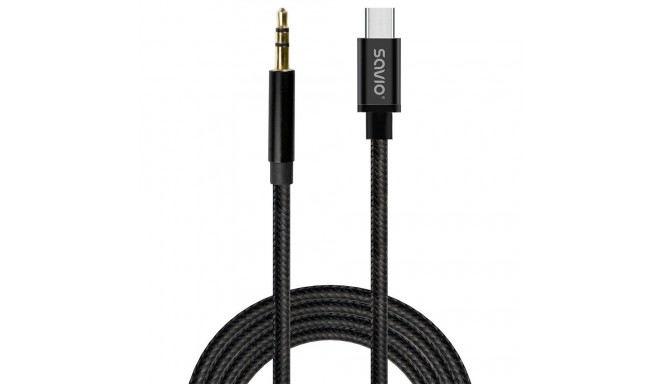 USB-C to mini-Jack cable
