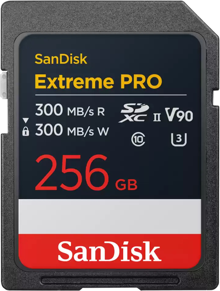 SANDISK SDSDXDM-256G-GN4IN