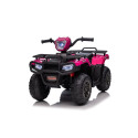 Quad JC915 roosa akuga