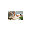 Fiskars Functional Form 1014418 Fixed Blade Peeler, Black